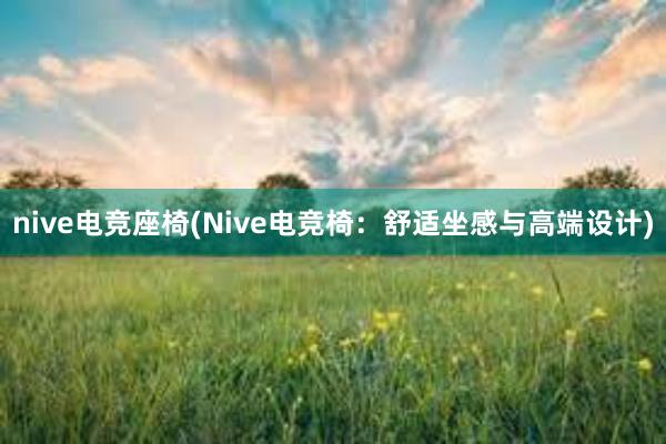 nive电竞座椅(Nive电竞椅：舒适坐感与高端设计)