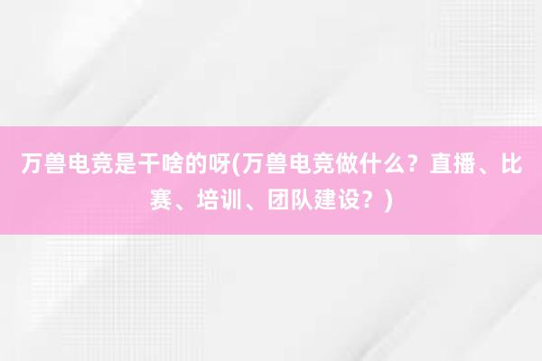 万兽电竞是干啥的呀(万兽电竞做什么？直播、比赛、培训、团队建设？)