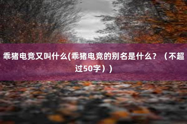 乖猪电竞又叫什么(乖猪电竞的别名是什么？（不超过50字）)