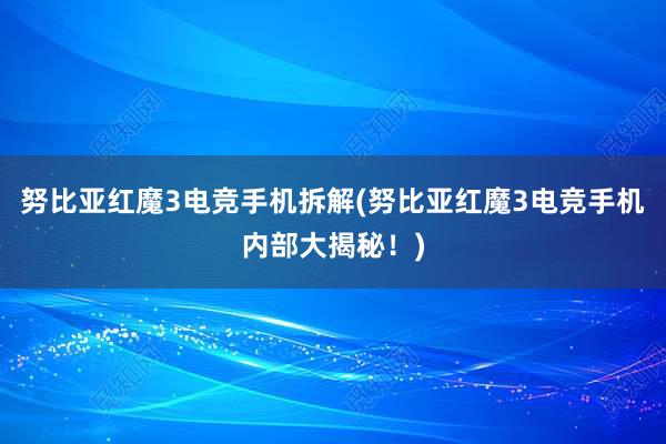 努比亚红魔3电竞手机拆解(努比亚红魔3电竞手机内部大揭秘！)