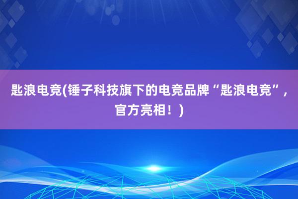 匙浪电竞(锤子科技旗下的电竞品牌“匙浪电竞”，官方亮相！)