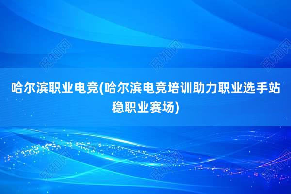 哈尔滨职业电竞(哈尔滨电竞培训助力职业选手站稳职业赛场)