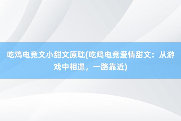 吃鸡电竞文小甜文原耽(吃鸡电竞爱情甜文：从游戏中相遇，一路靠近)