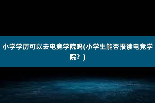 小学学历可以去电竞学院吗(小学生能否报读电竞学院？)