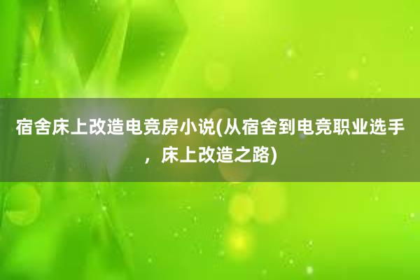 宿舍床上改造电竞房小说(从宿舍到电竞职业选手，床上改造之路)