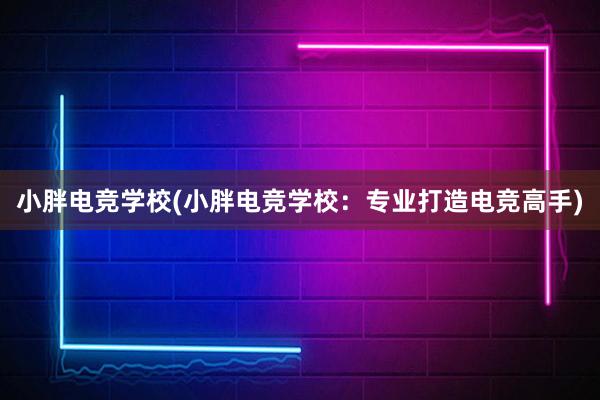 小胖电竞学校(小胖电竞学校：专业打造电竞高手)