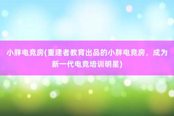 小胖电竞房(重建者教育出品的小胖电竞房，成为新一代电竞培训明星)