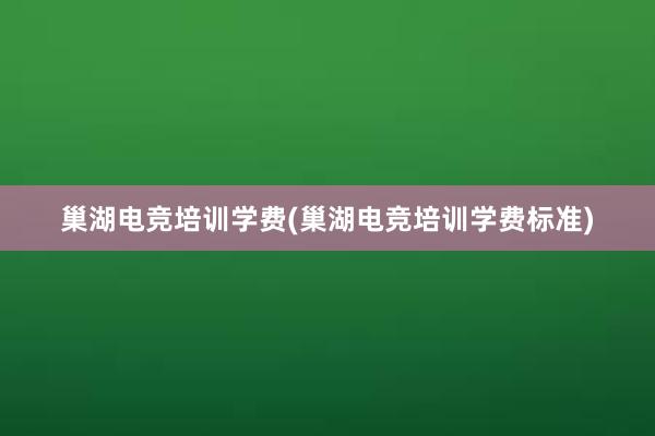 巢湖电竞培训学费(巢湖电竞培训学费标准)