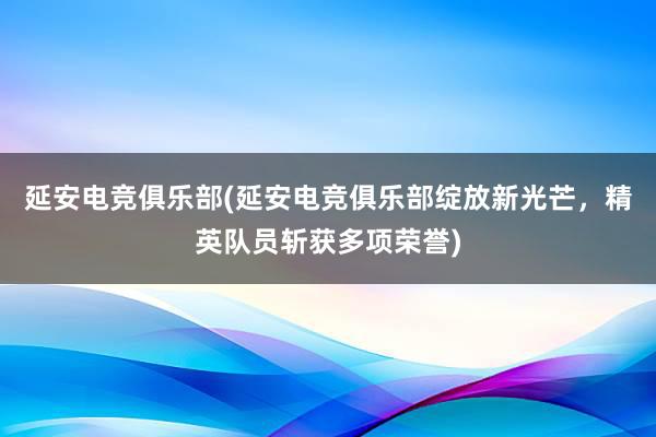 延安电竞俱乐部(延安电竞俱乐部绽放新光芒，精英队员斩获多项荣誉)