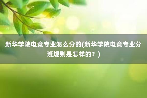 新华学院电竞专业怎么分的(新华学院电竞专业分班规则是怎样的？)