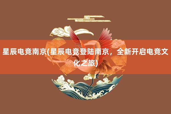 星辰电竞南京(星辰电竞登陆南京，全新开启电竞文化之旅)