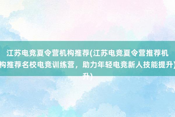 江苏电竞夏令营机构推荐(江苏电竞夏令营推荐机构推荐名校电竞训练营，助力年轻电竞新人技能提升)