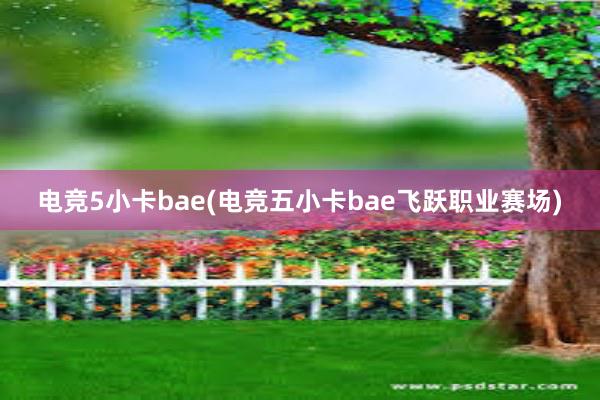 电竞5小卡bae(电竞五小卡bae飞跃职业赛场)