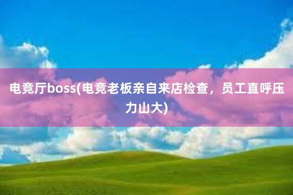 电竞厅boss(电竞老板亲自来店检查，员工直呼压力山大)