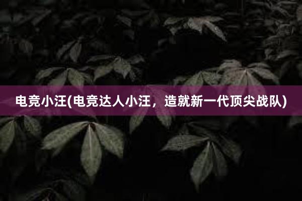 电竞小汪(电竞达人小汪，造就新一代顶尖战队)