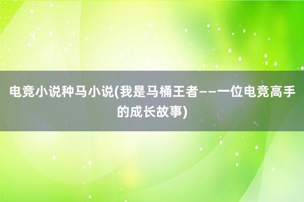 电竞小说种马小说(我是马桶王者——一位电竞高手的成长故事)