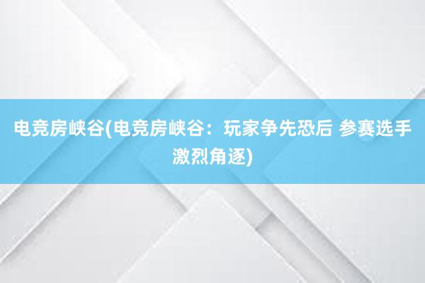 电竞房峡谷(电竞房峡谷：玩家争先恐后 参赛选手激烈角逐)