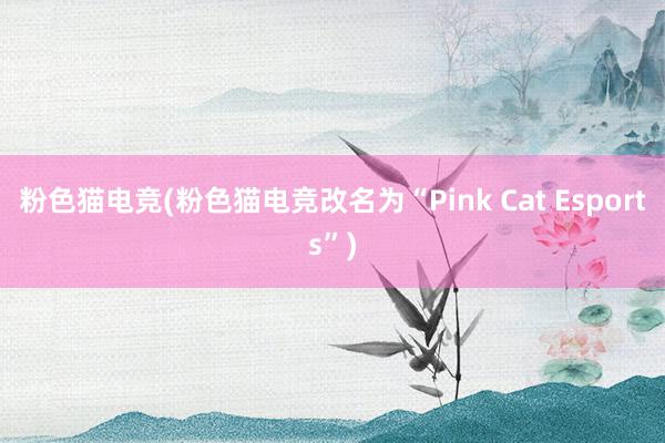 粉色猫电竞(粉色猫电竞改名为“Pink Cat Esports”)