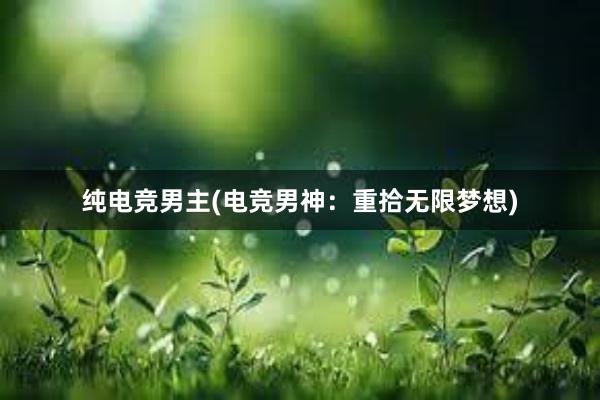 纯电竞男主(电竞男神：重拾无限梦想)