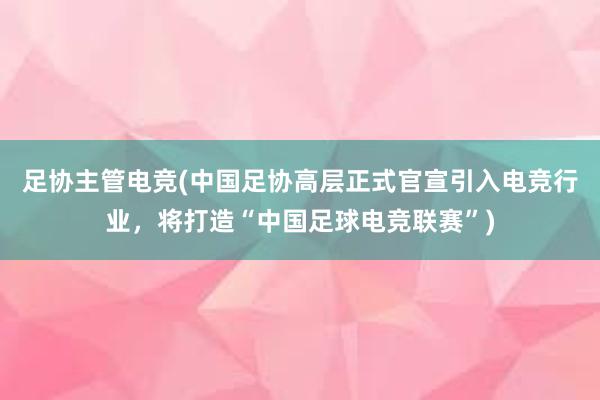 足协主管电竞(中国足协高层正式官宣引入电竞行业，将打造“中国足球电竞联赛”)