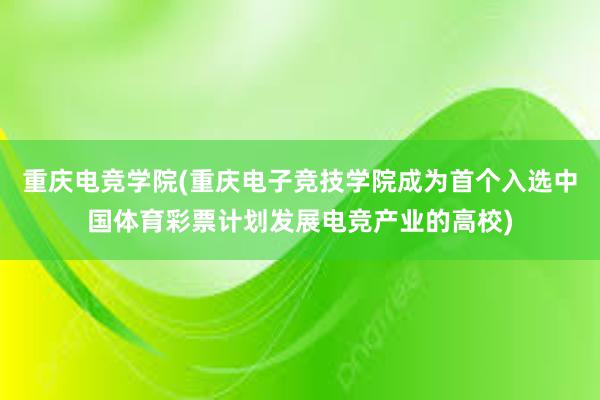 重庆电竞学院(重庆电子竞技学院成为首个入选中国体育彩票计划发展电竞产业的高校)