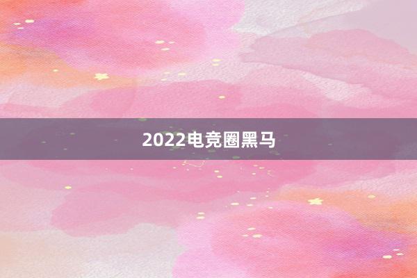 2022电竞圈黑马