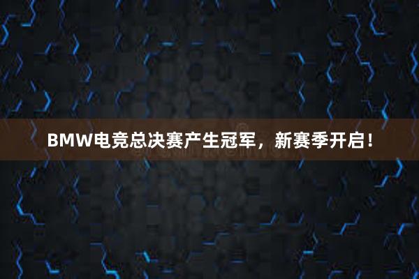 BMW电竞总决赛产生冠军，新赛季开启！