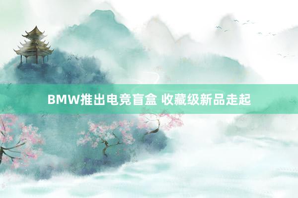 BMW推出电竞盲盒 收藏级新品走起