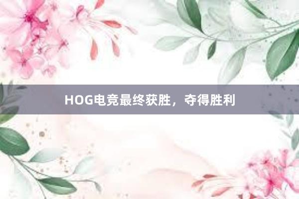 HOG电竞最终获胜，夺得胜利