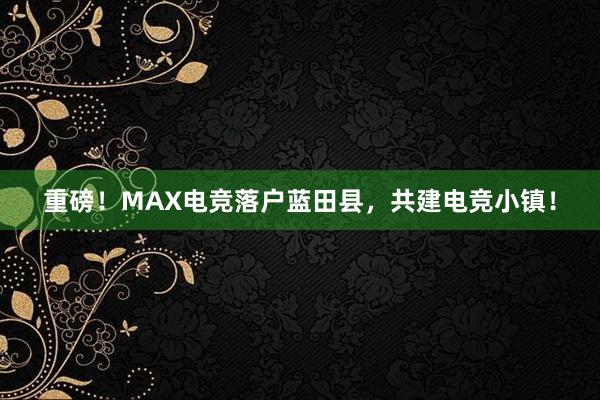 重磅！MAX电竞落户蓝田县，共建电竞小镇！