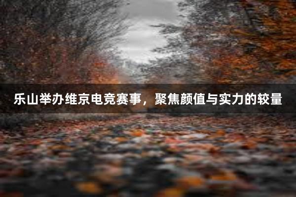 乐山举办维京电竞赛事，聚焦颜值与实力的较量