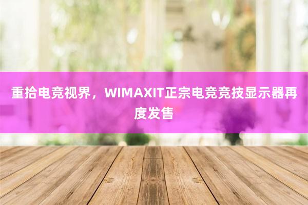 重拾电竞视界，WIMAXIT正宗电竞竞技显示器再度发售