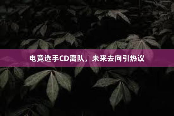 电竞选手CD离队，未来去向引热议