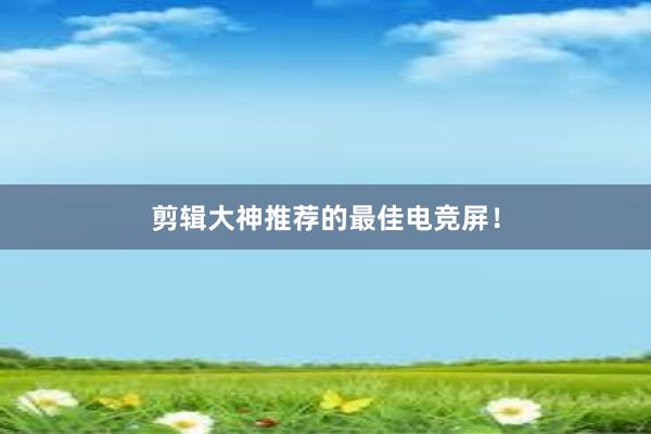 剪辑大神推荐的最佳电竞屏！